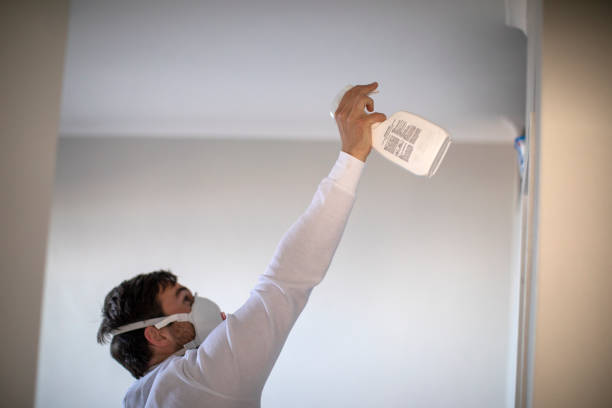 Best Bathroom Mold Remediation in Juneau, WI